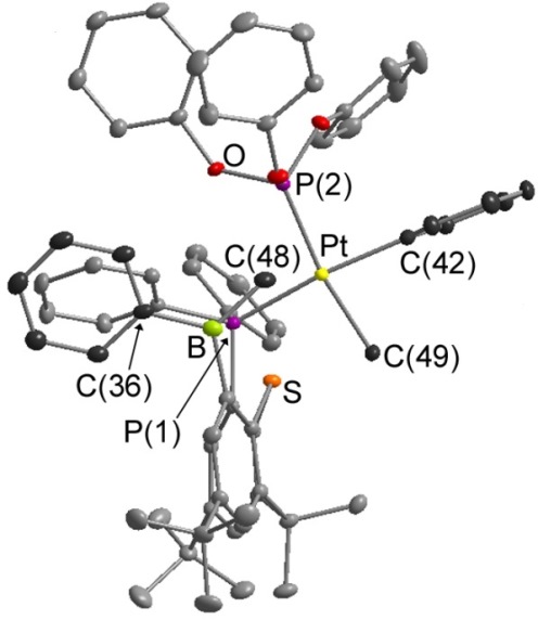 Pt MePh TXPB' P(OPh)3